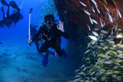 A scuba diver under water gives the okay hand signal as fish swim past.