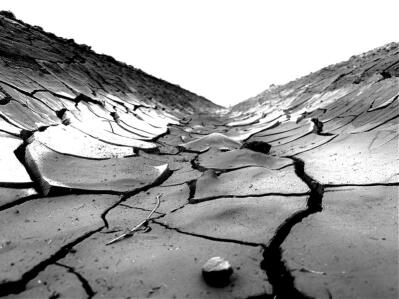 A cracked earth surface. 