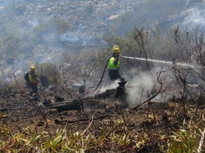 Firefighters work on a burning hill.