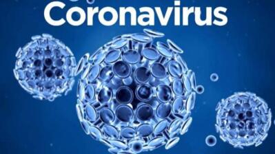 Blue and white microscopic image of the coronavirus.