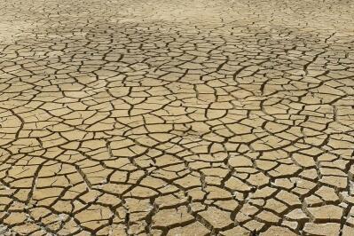 Cracked earth in a drought.