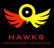 Red, yellow, black, and white Hawks logo.